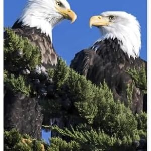 Persianas romanas para janelas, persianas de bambu Eagles...
